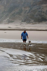 Luxury dog friendly accommodation Victoria - Great Ocean Road