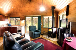 Dog friendly Otways Accommodation - Great Ocean Road, Victoria