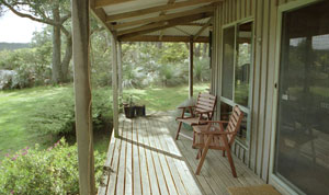 Dog friendly Otways Accommodation - Great Ocean Road, Victoria