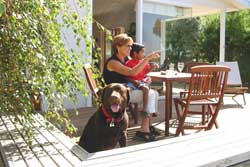 Dog friendly holidays on the Bellarine Accommodation