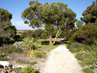 Pet friendly accommodation at Robe on the Limestone Coast