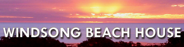 Dog friendly accommodation Robe | Limestone Coast | South Australia