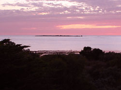 Pet friendly accommodation Robe, South Australia